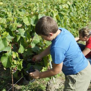 Initiation des plus jeunes